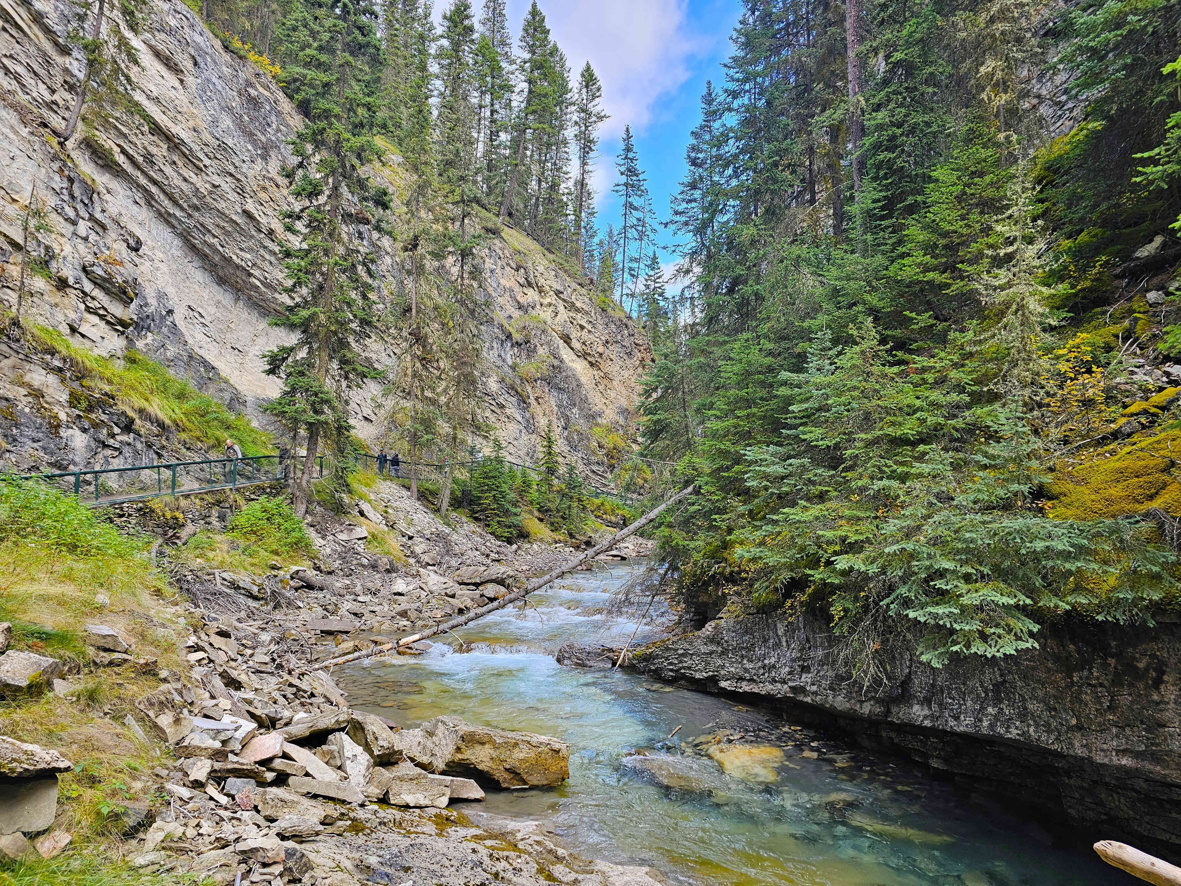 NP Banff